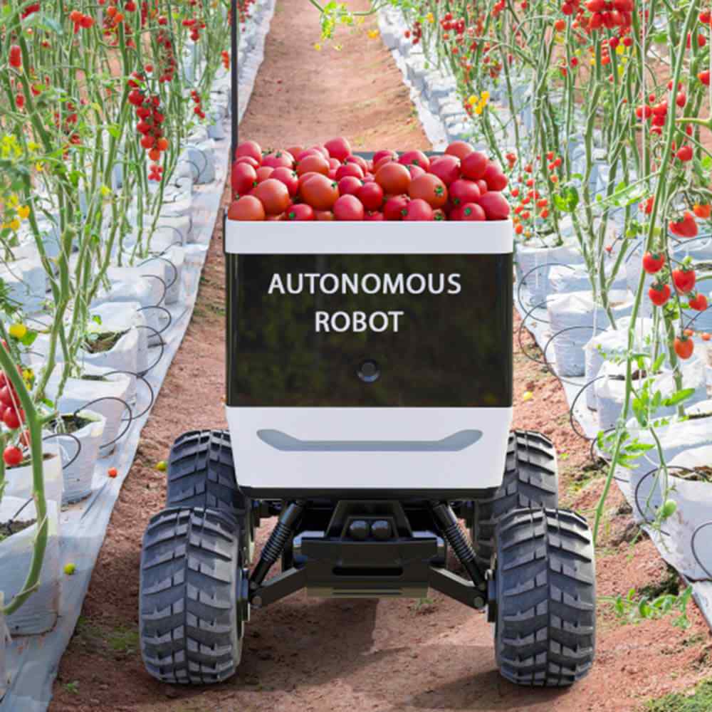 Why Mentorship Can Change the Direction of Your Startup